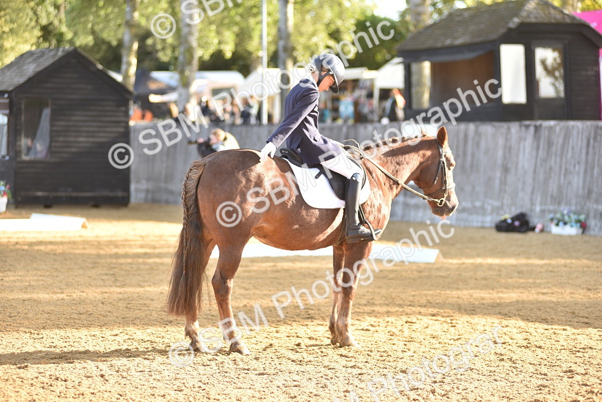 SBM_15719 - D4 - Small Tour Championship Intro 4