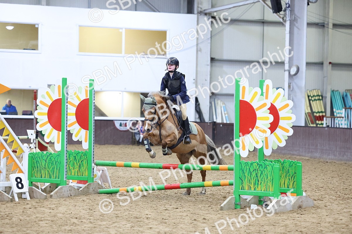 SBM_000996 - Class 3 - Christmas Tree Stakes - 60cm