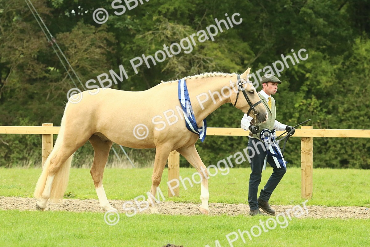 SBM_75129 - Super Supreme Championship