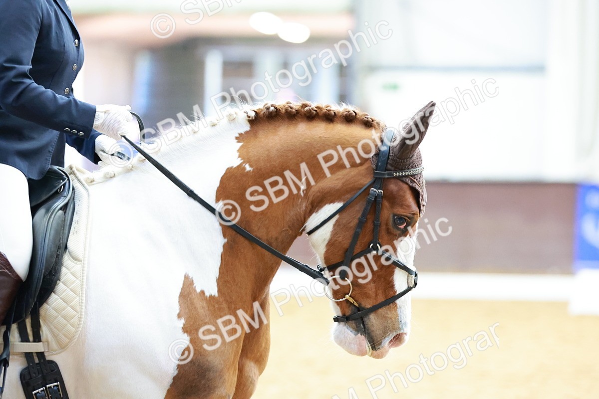 0B8A4022 - Class 3-6-9 - Prel Nov Ele - FSM