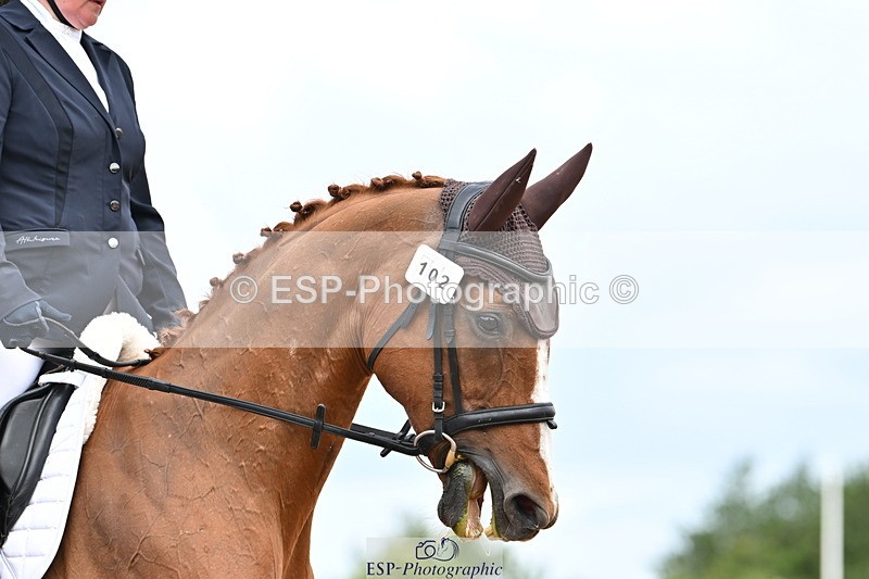 240622A-095436-07449 - Cls 2A+2B+C Intro B RoR