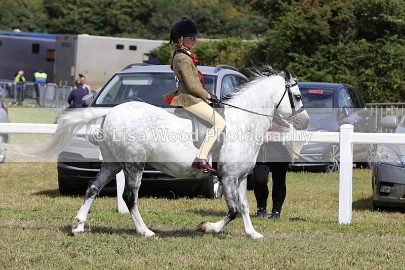 1X9A5477 - M&M Mini Ridden Championship