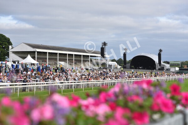 yr23072021r2-18 - Race 2 6.30pm IRE-Incentive It Pays To Buy Irish Stakes