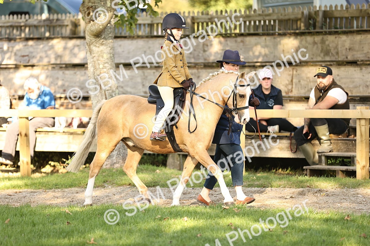 SBM_29360 - S7 - Novice & Newcomers Ridden Pony