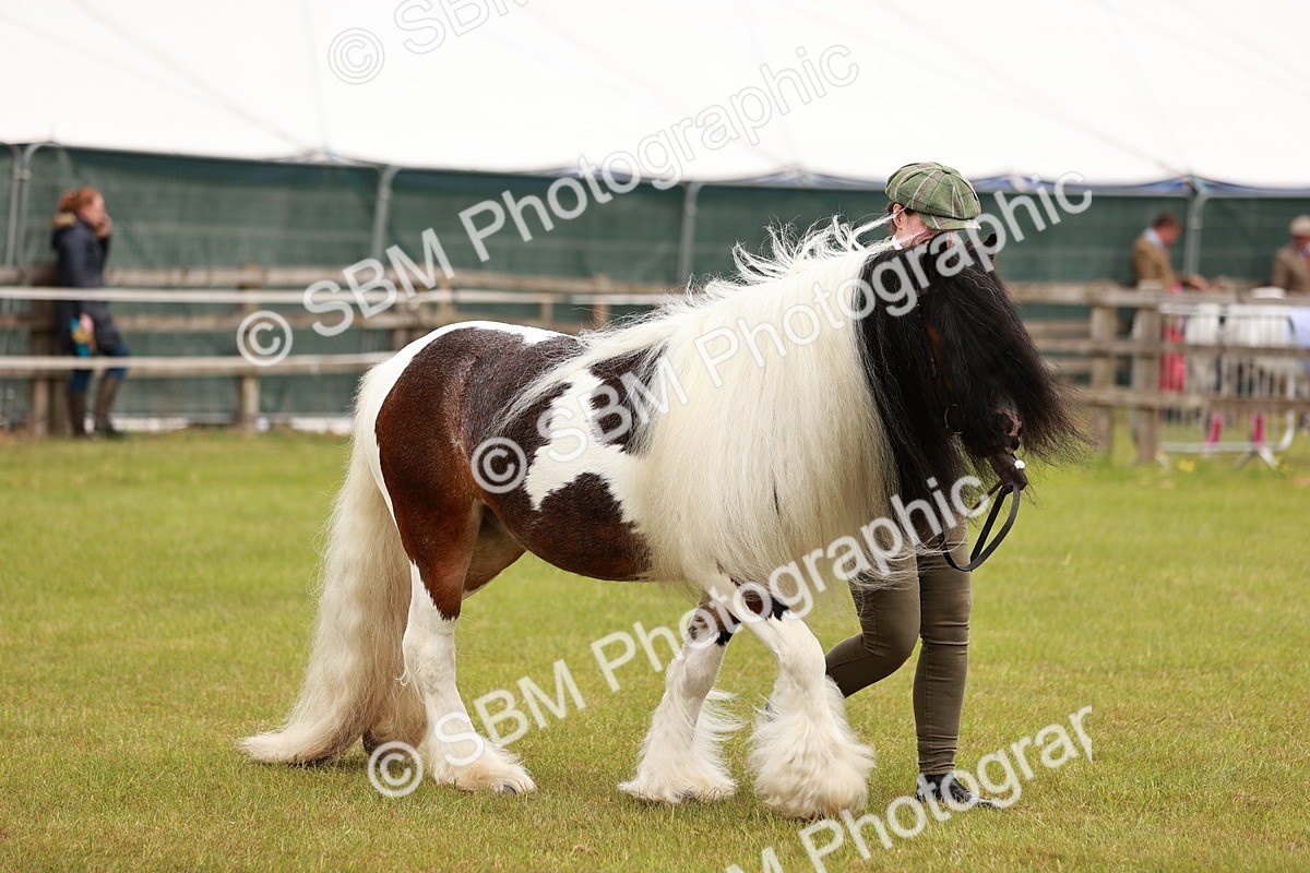 SBM_04627 - Class 5-8 - BSPA In hand