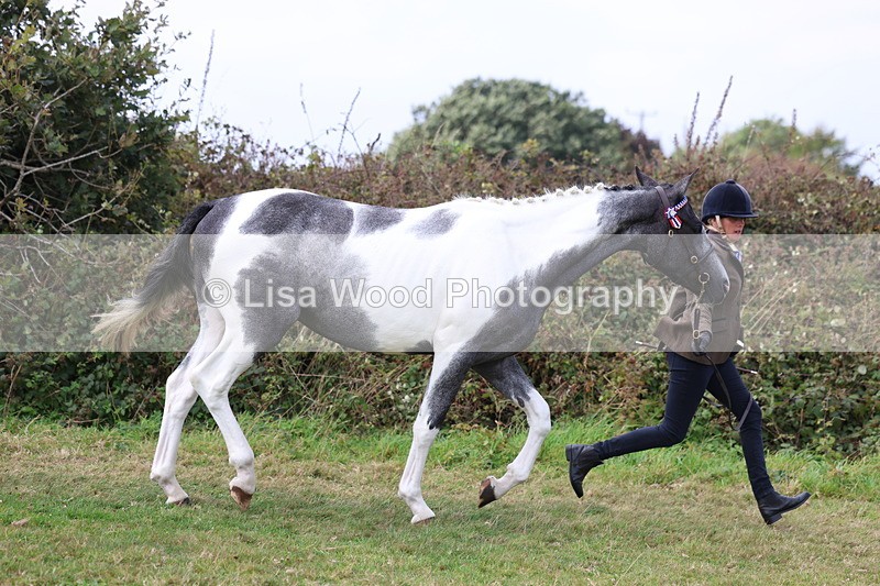 3E7A5370 - Class 19: Best Coloured in Hand