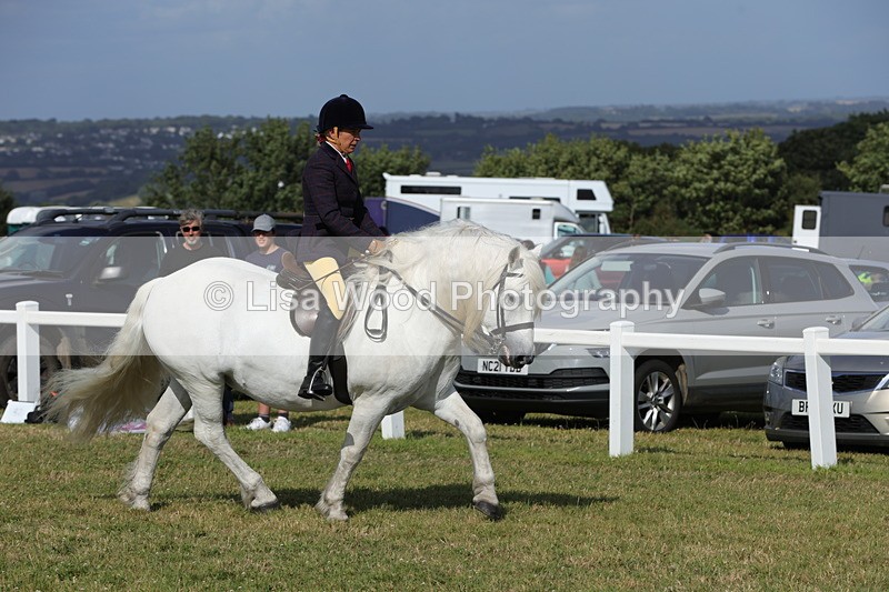 1X9A5963 - Class 42: NPS Dales, Fell, Highland