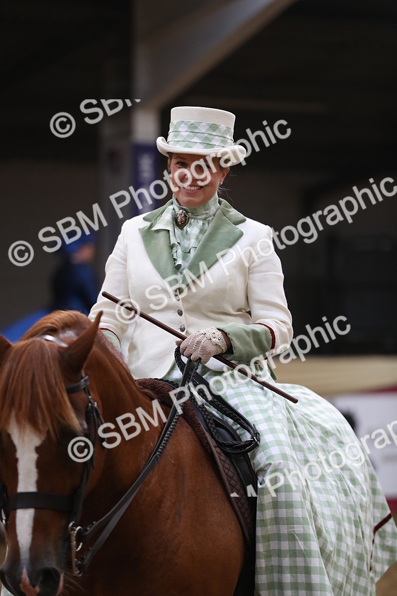 SBM_12047 - Class 106 Ridden Costume- Astride Adult (15-19)