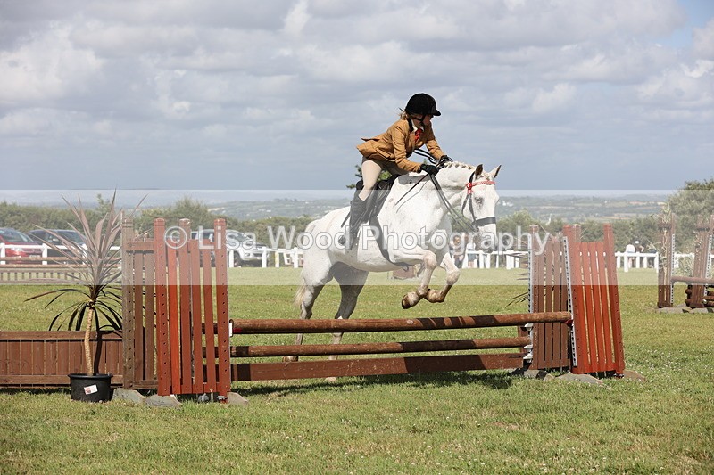 JPP_2489 - Class 20: Working Hunter 70cm