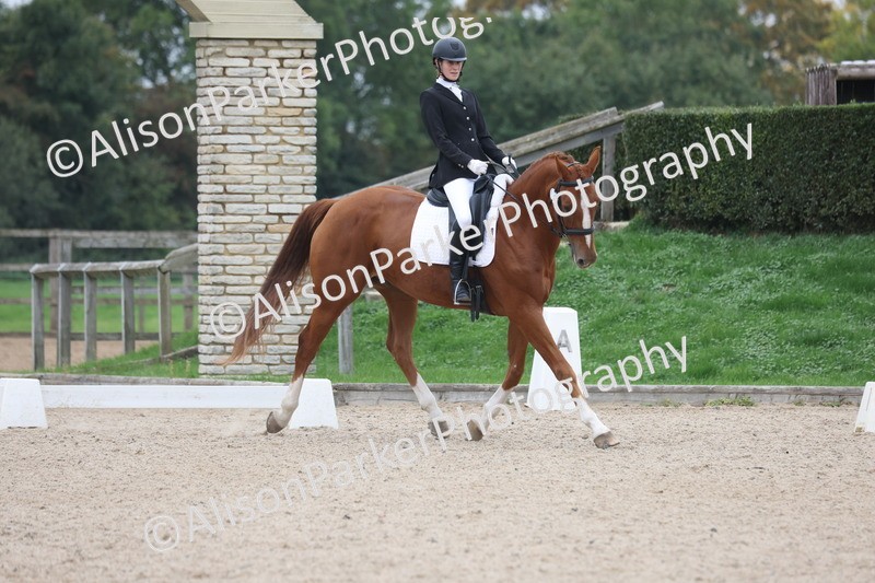 20251011-0533 - Class 6 - Elementary 1