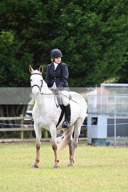WJ7_8534 - Class 7  Riding Club Show Horse