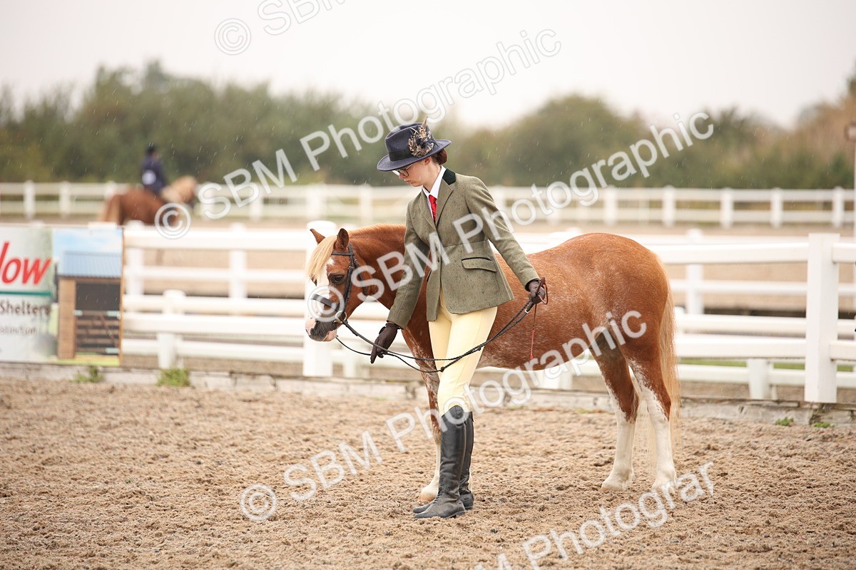 SBM_20196 - Class 703 - IH  Coloured