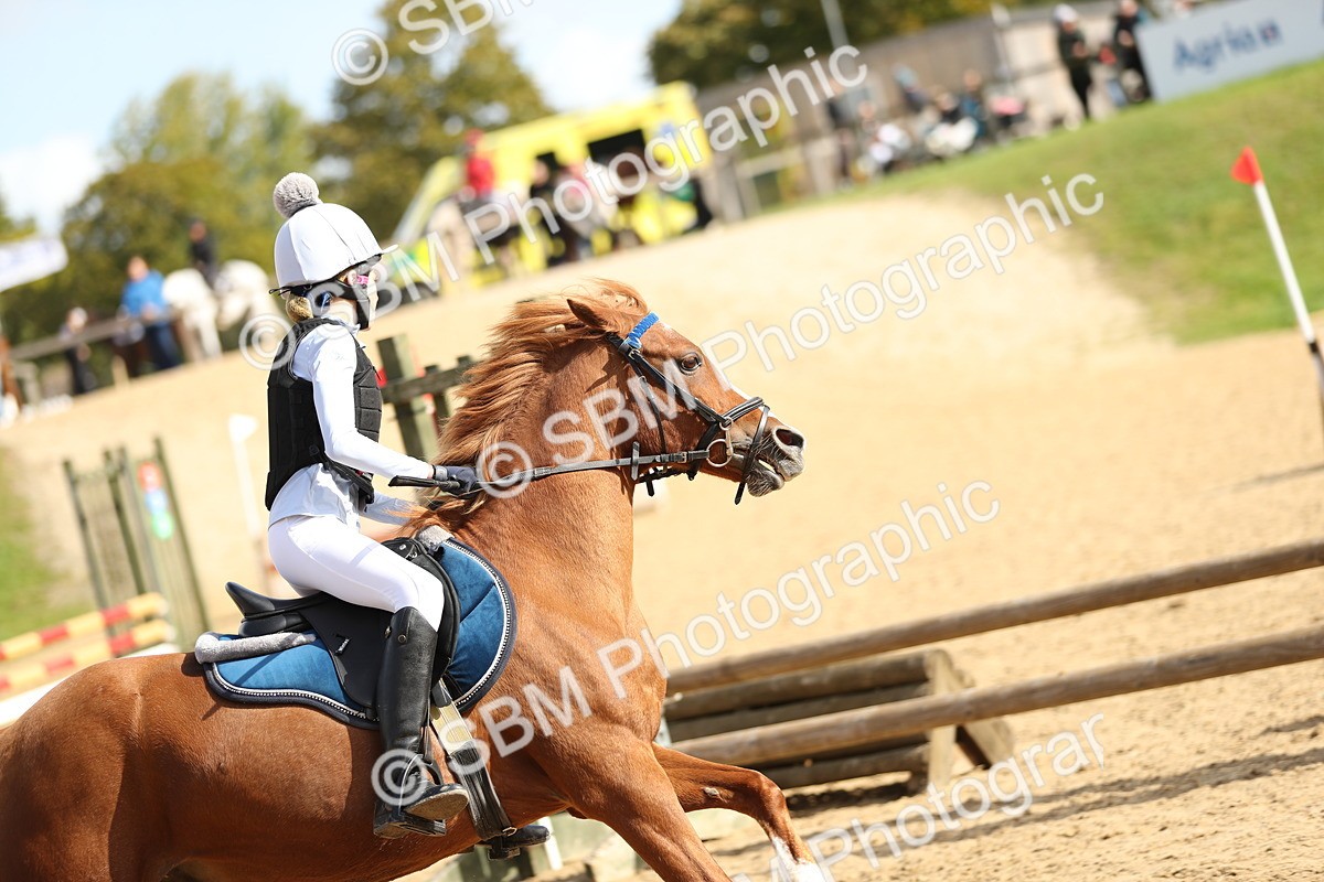 SBM_17228 - E4b - Eventers Challenge 60cm Open