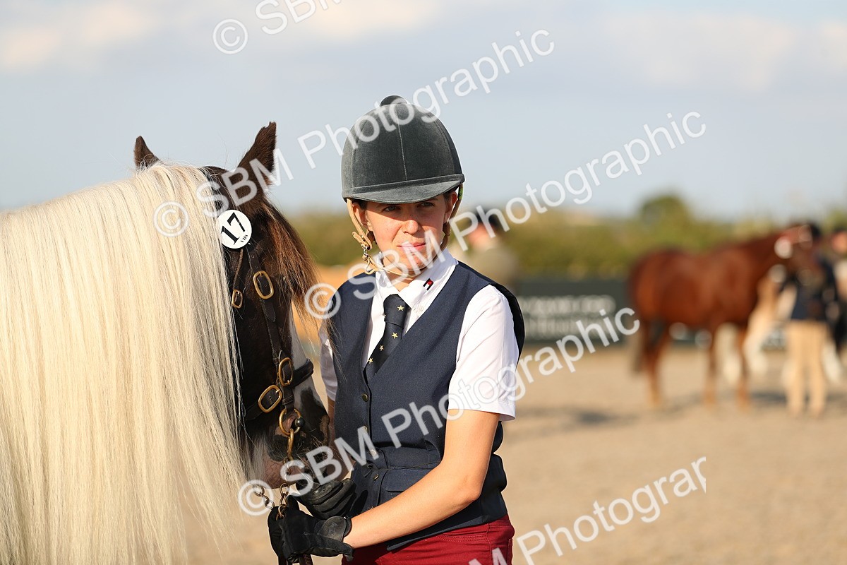 SBM_09076 - Class 29 IH Veteran Pony