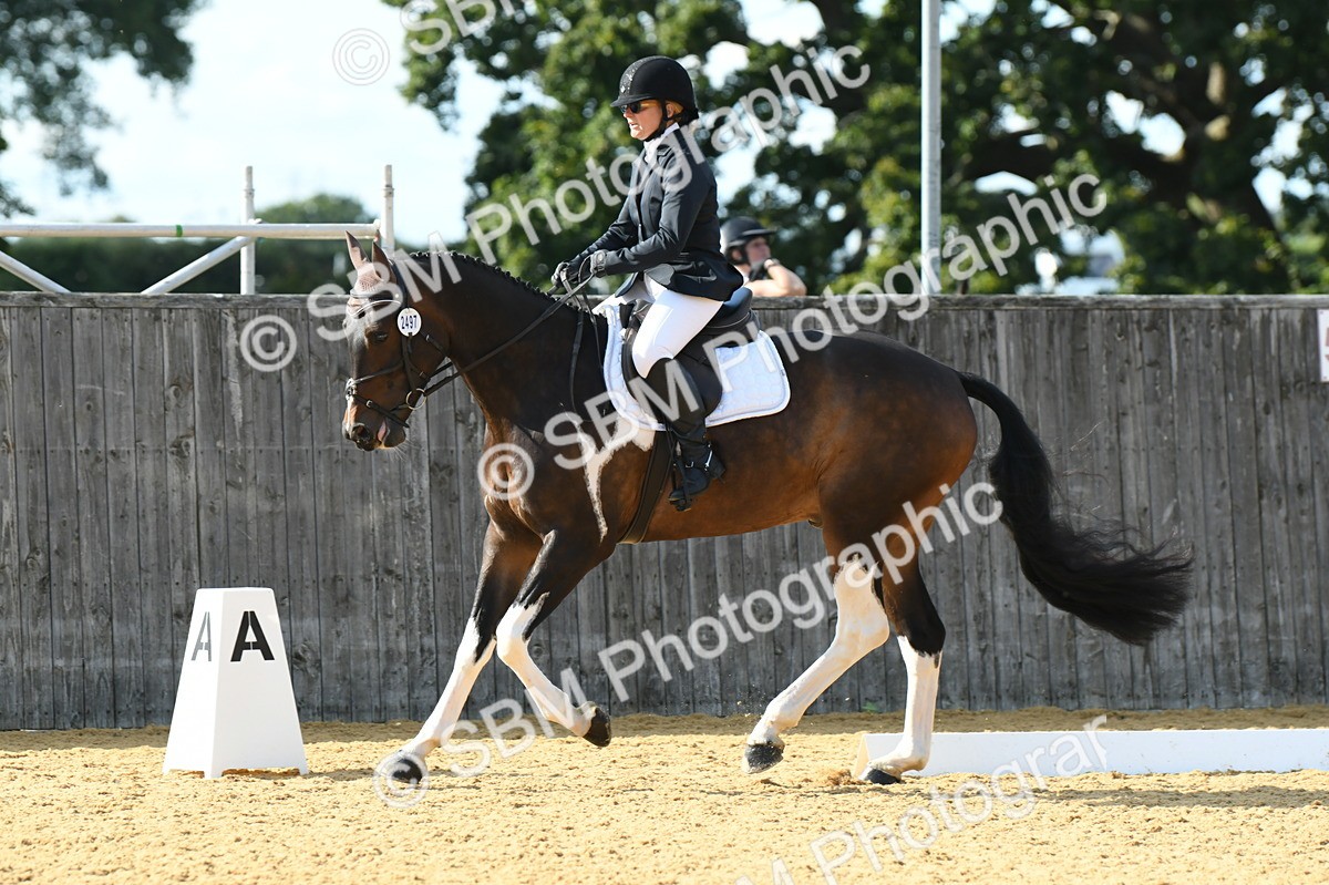 SBM_27022 - D16 - Small Tour Championship - Novice 28