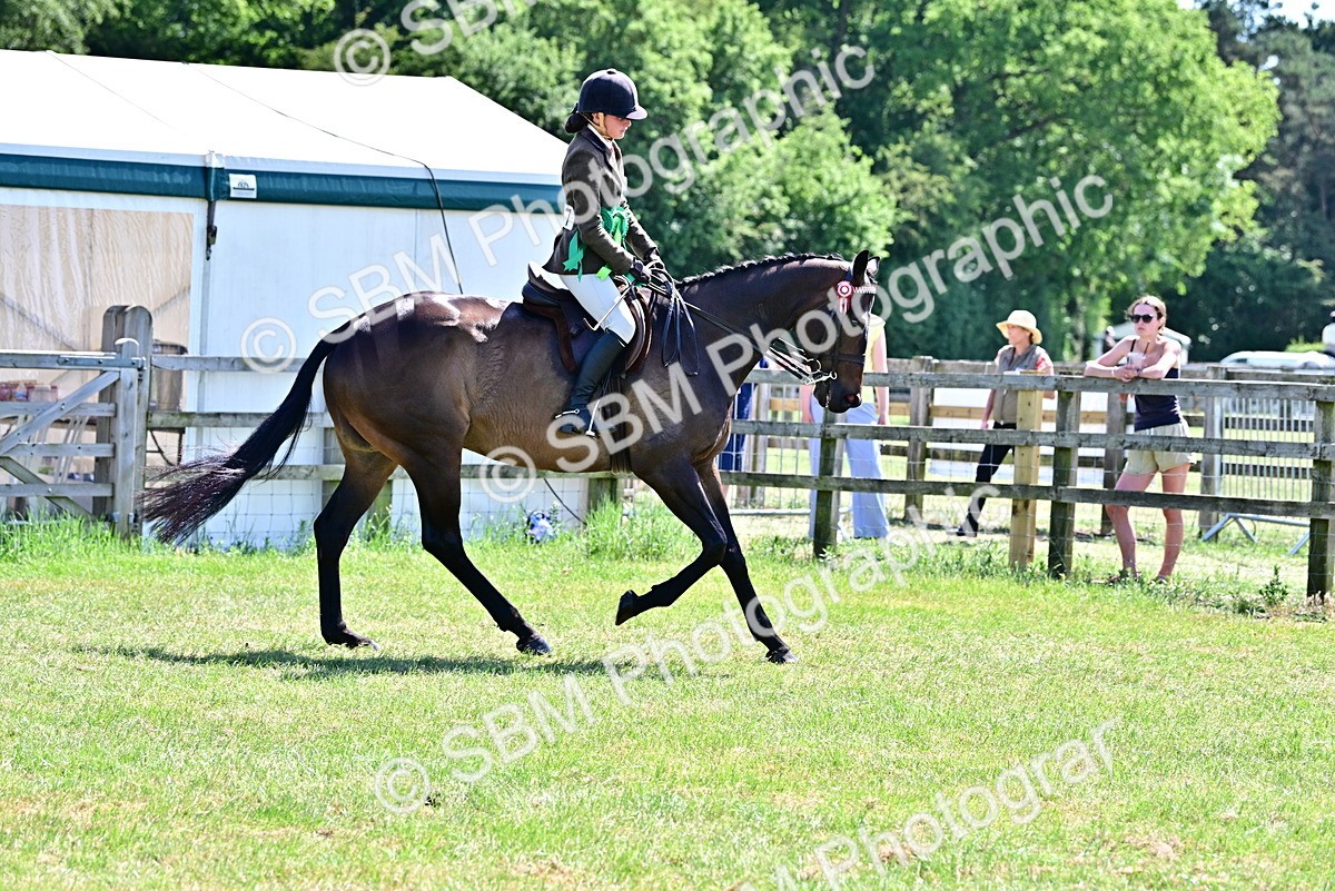 SBM_18196 - Class 99-100 - Retraining of Racehorses Ridden