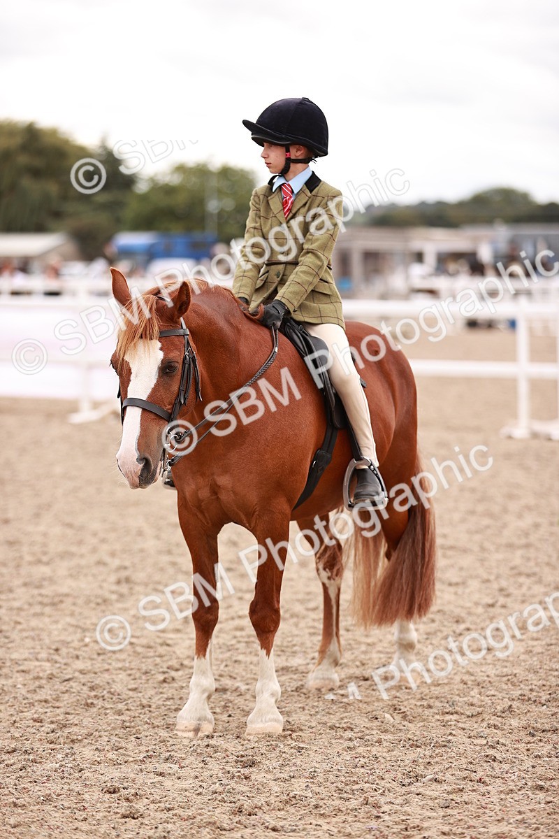 SBM_18571 - Class 421 - Childs Best Friend - Jnr