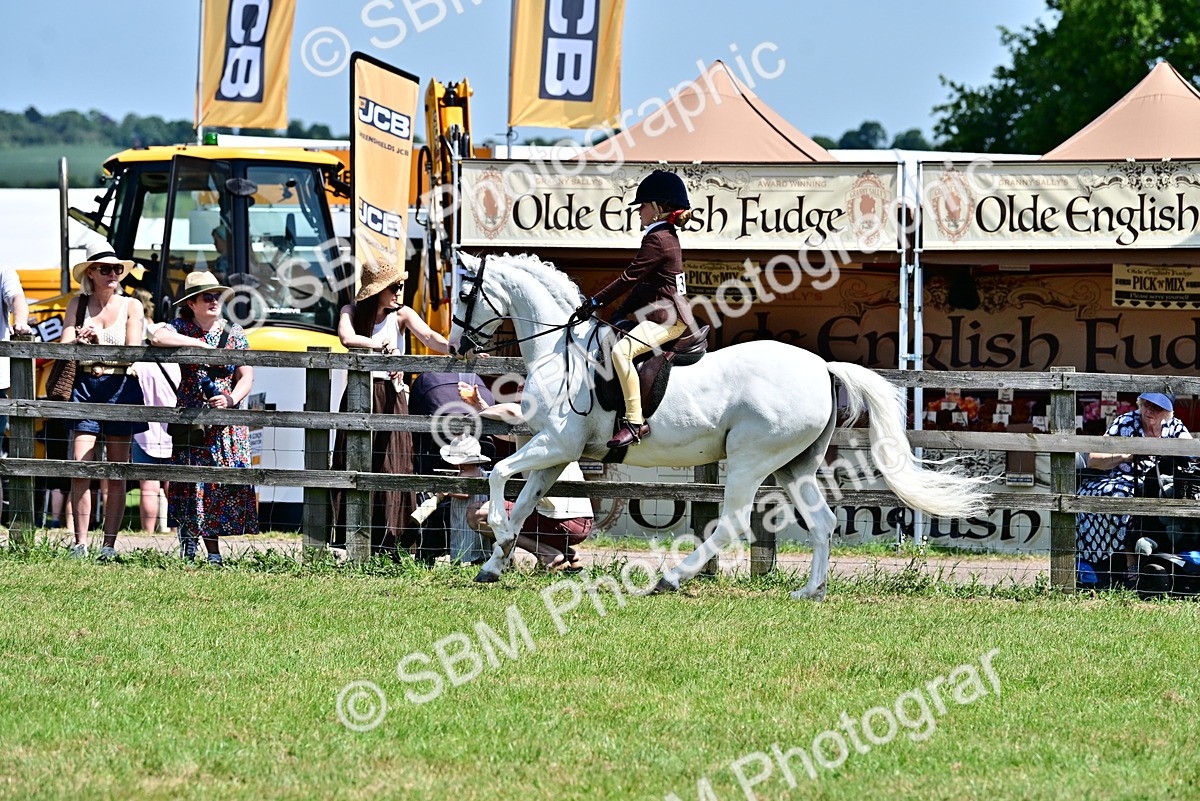 SBM_15303 - Class 95-97 - BSPS LHS Performance Ponies