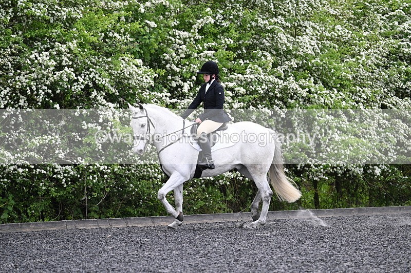 WJ7_8218 - Time 10:30 to 10:51