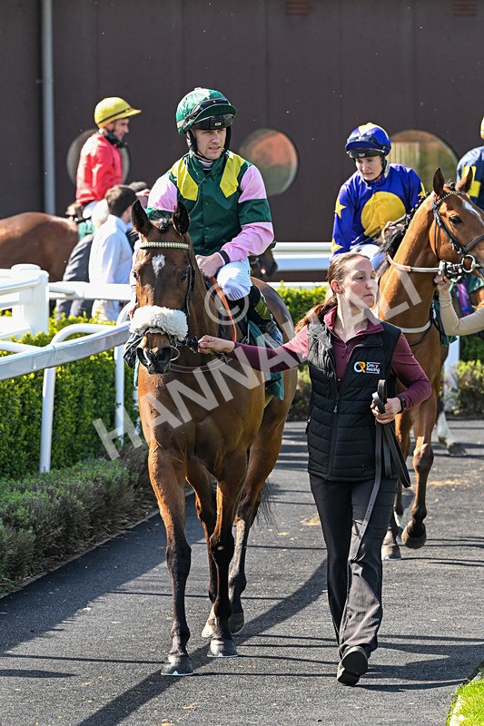 080426-Race 2-Rotokura Belle-0152 - Race 2