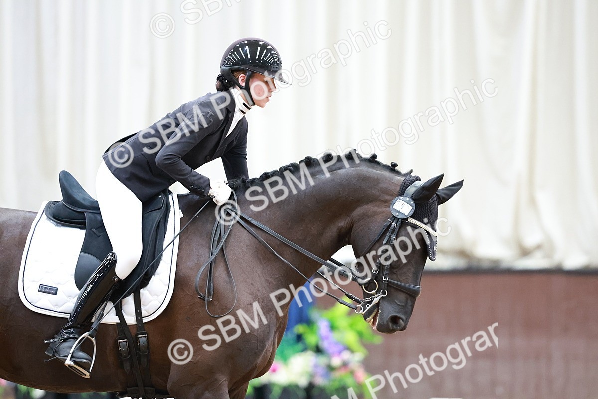 SBM_017772 - Class 15 - FEI Junior