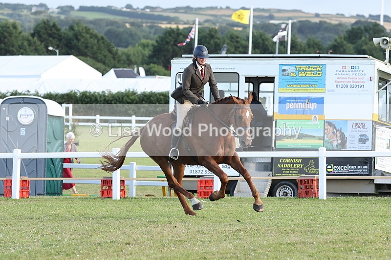 JPP_3785 - Working Hunter Championship