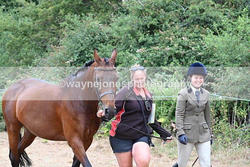WJ7_8638 - Class 4a Prettiest Mare 14.2hh and over
