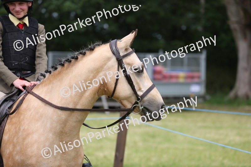 20260614-3211 - Class 22 - Open Working Hunter