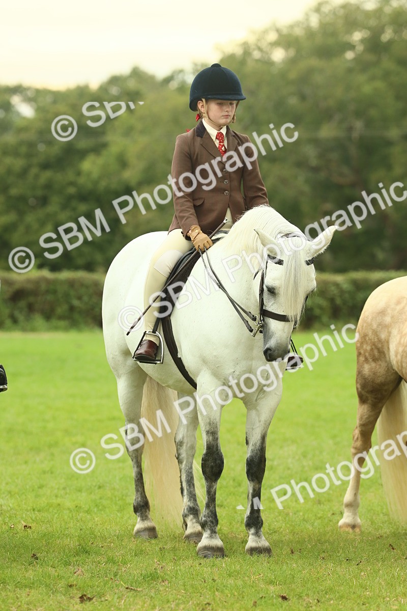 SBM_72202 - S60 - Mountain & Moorland Ridden Large Breeds