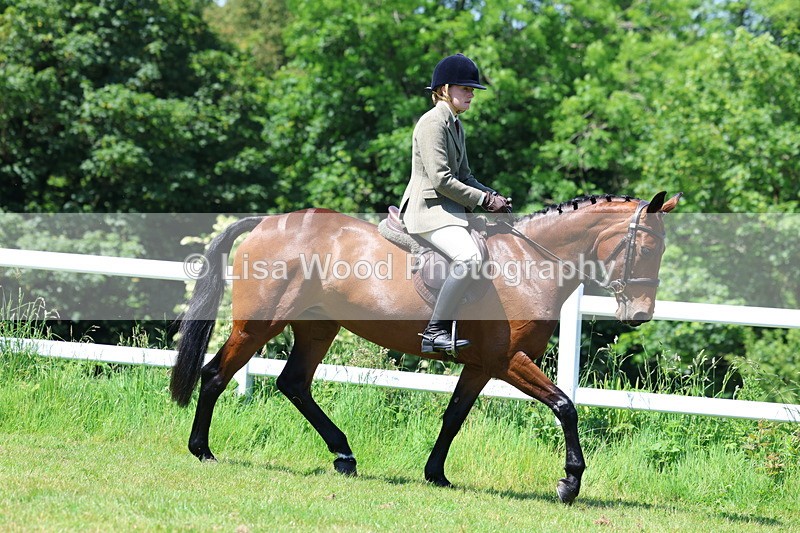 3E7A7159 - Class 30: Novice Working Hunter