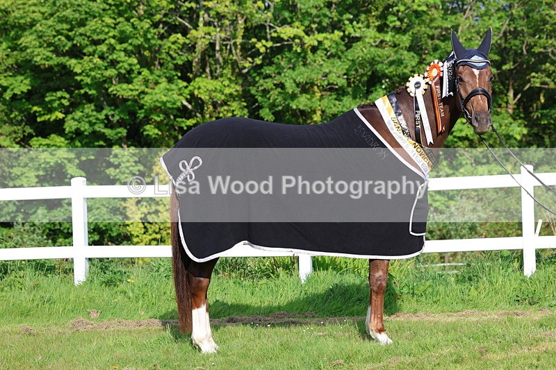 3E7A0295 - Verity Perry
