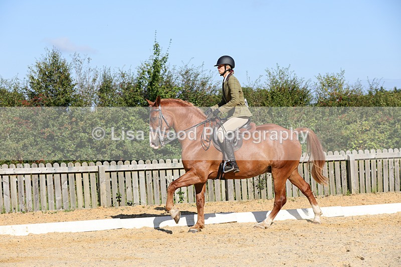 1X9A7774 - Class 9: Open Ridden Hunter