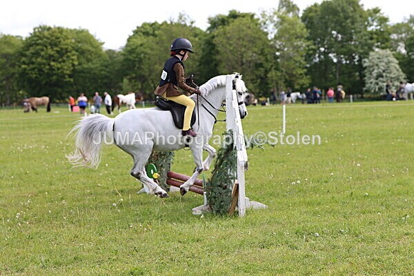 IMG_2364 - Working Hunter