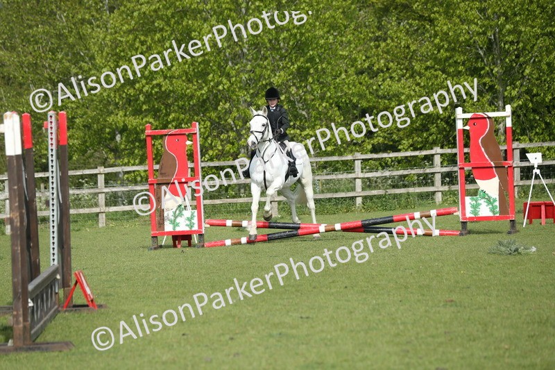 20260426-0175 - Class 13 - Rookie Jumping 50cm