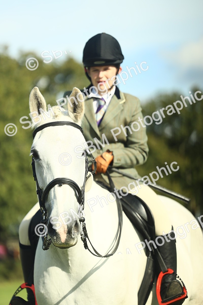 SBM_49888 - S32 - Novice & Newcomers Working Hunter
