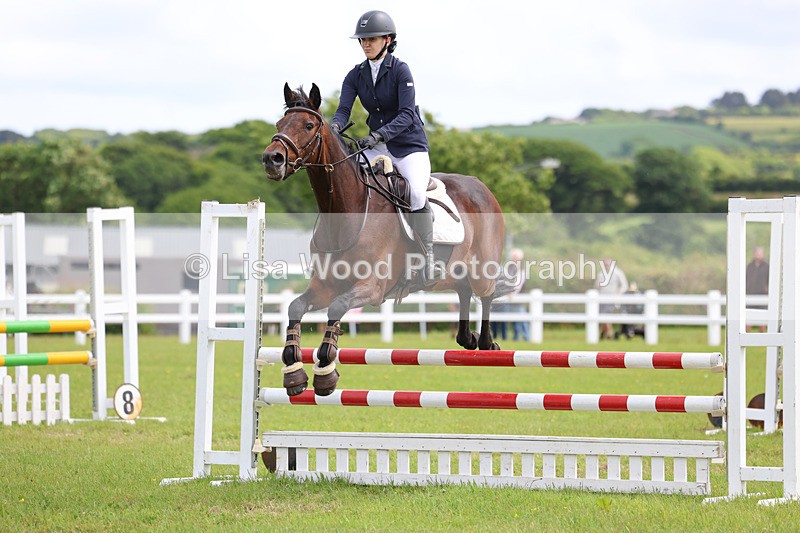 3E7A7573 - Class 13: Senior British Novice/90cm open