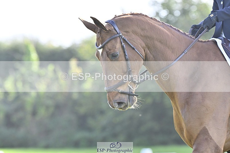 241025-151255-09758 - 591-Zennor.Harvey-GOODFELLA.GIO