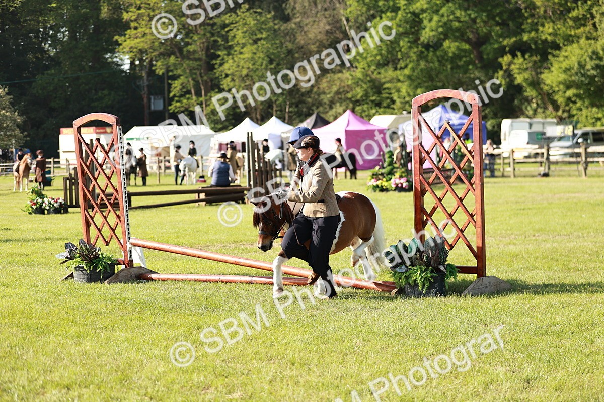SBM_11187 - Class 106-107 - BSPS LIHS Working Sports Pony