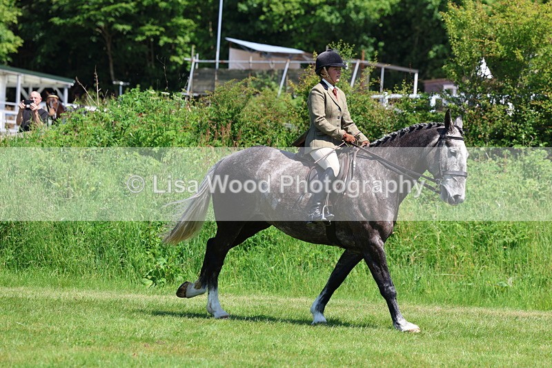 3E7A8256 - Class 13: Ridden Hunter