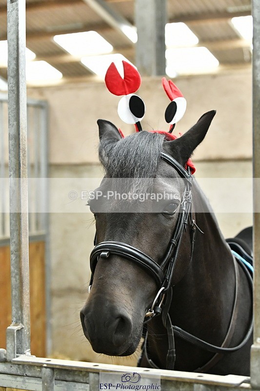 230804A-095120-02214 - Stable Shots