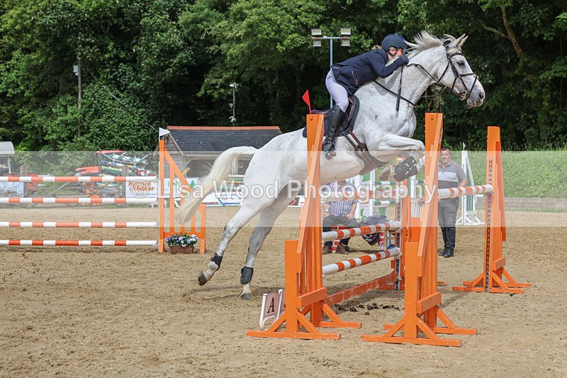 3E7A7540 - Class 9: Senior Foxhunter/1.20 open