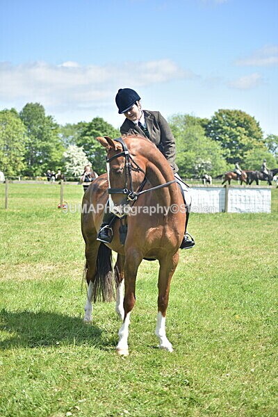 DSC_9009 - Rings 1 & 2