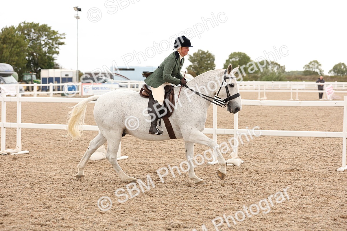 SBM_19608 - Class 215 - Ridden Show cob