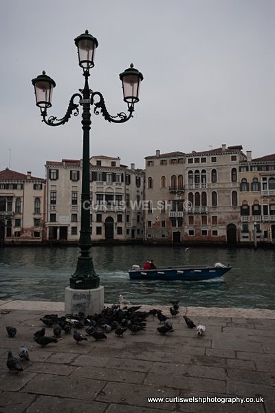 _P5L4230Venice 2011 - VENICE