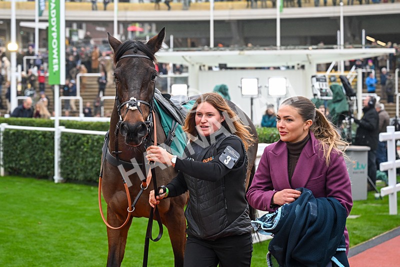 151125-Race 3-Brentford Hope-2951 - Race 3