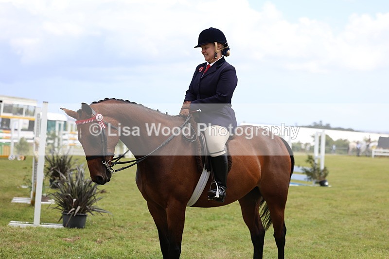 3E7A1250 - Class 8: Open Riding Horse/Hack