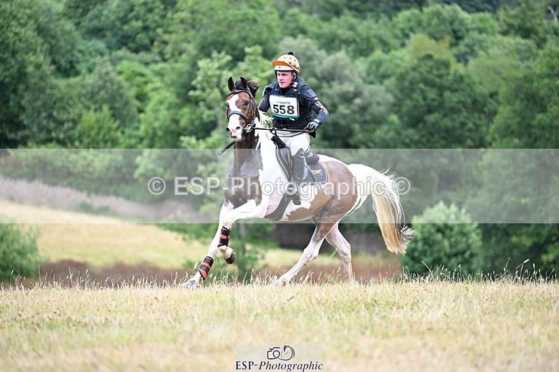 250803A-124001-13266 - M-558-Theo.Funnell-CARLOMAN.C