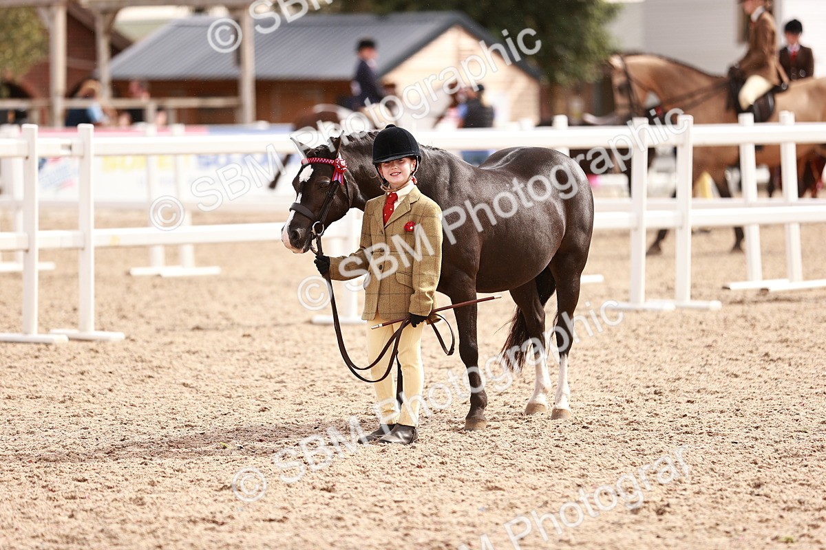 SBM_18380 - Class 418 - Best Condition - Jnr