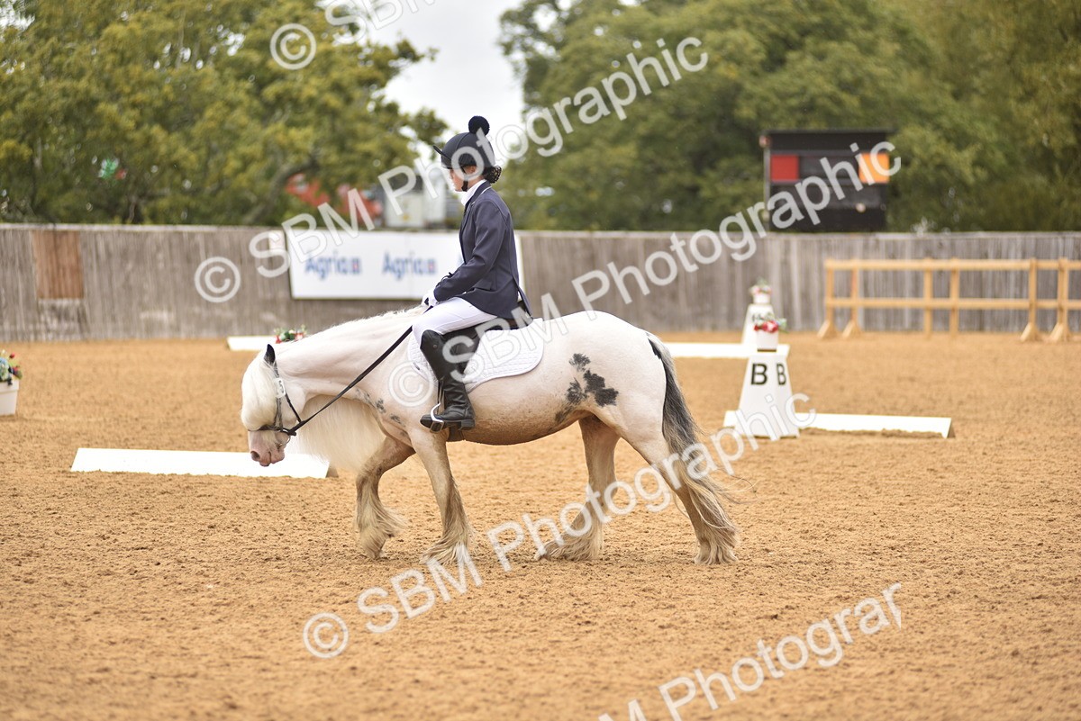 SBM_42357 - D22 - Junior Championship Intro 3