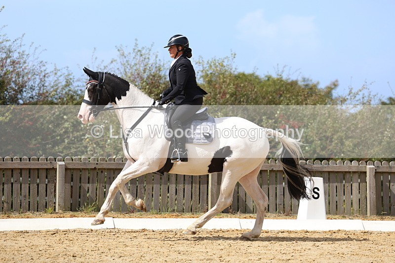 3E7A4096 - Class 9: Novice 6 Section B Championship